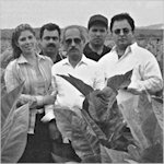 Cygara i cygaretki- Strona 3